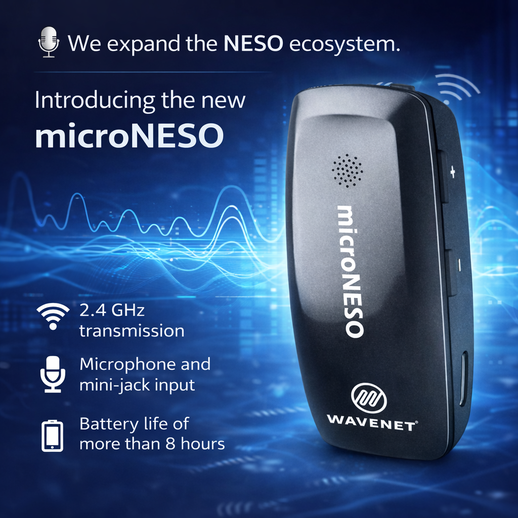 MicroNESO